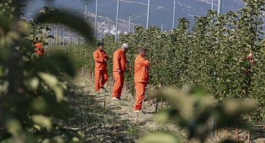 Ceza Evlerinde 200 Meslek Dalında Üretim Yapılıyor