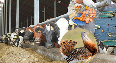 Tarım Bakanlığı tarımsal hibe desteği verecek