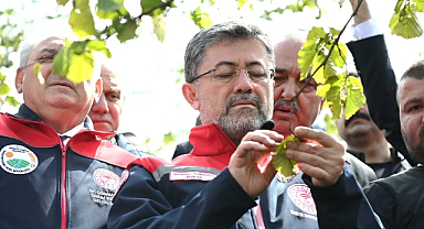 Yumaklı: Zirai don sebebiyle stratejik ürünlerde sıkıntı yok