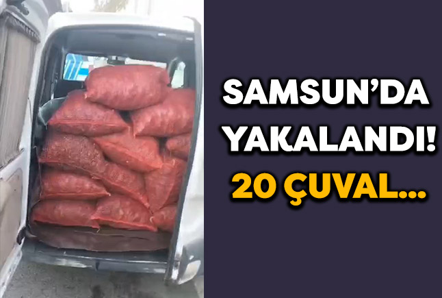 Samsun’da Yakalandı! 20 Çuval…