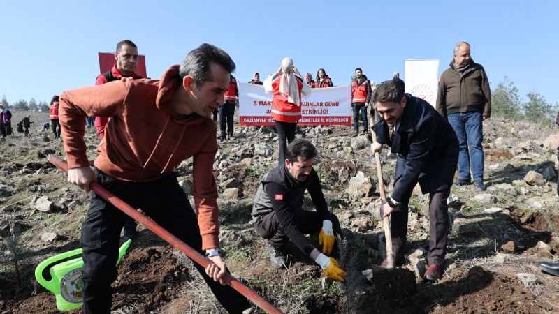 Belpınar Mahallesi’ndeki Mesthöyük bölgesinde