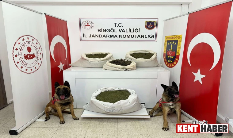 Bingöl İl Jandarma Komutanlığı