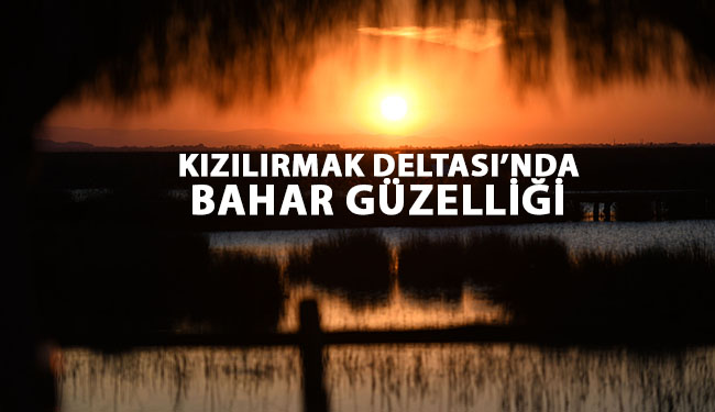 Kızılırmak Deltası’nda Bahar Güzelliği