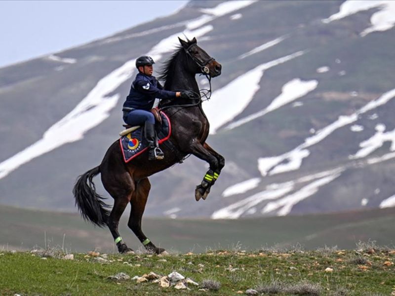 Atlı Jandarma Timi Sınır