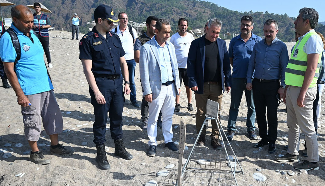 Antalya’da “caretta ceratta ilk