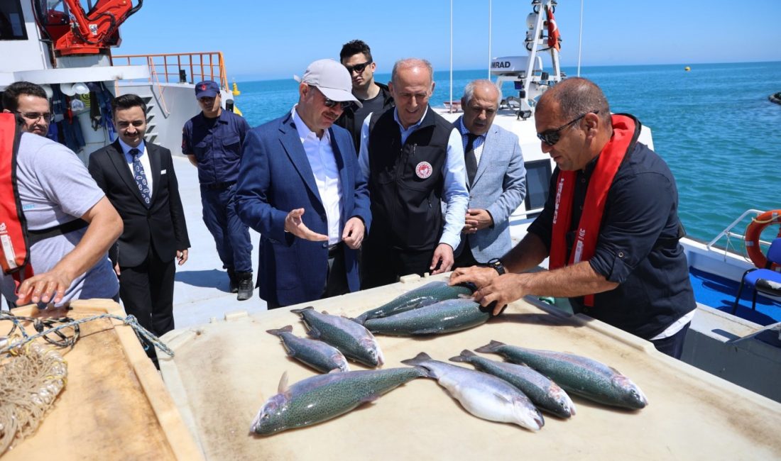   Giresun’da kafeslerde