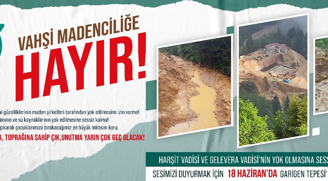 Harşit Vadisi Platformu Vahşi