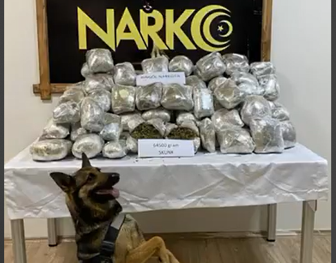   Narkotik köpekle