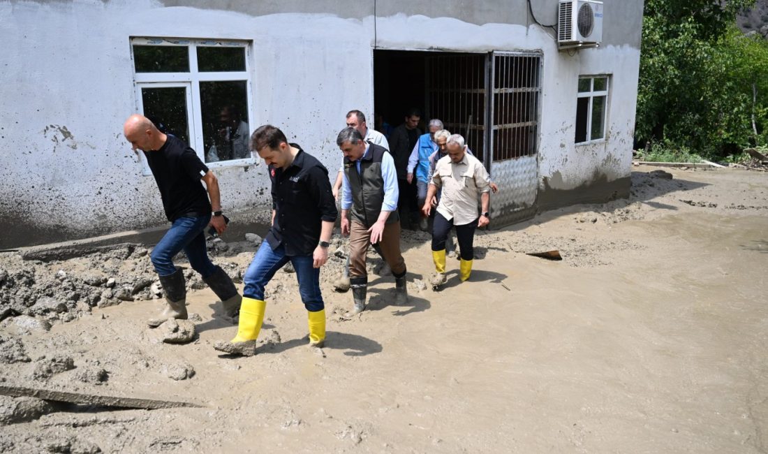   Erzurum Valisi