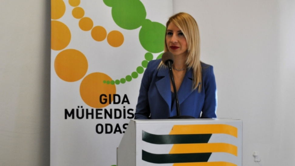 Gıda Mühendisleri Odası (GMO)