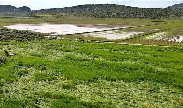   Türkiye’nin önemli