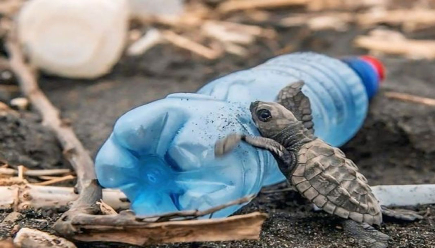 Dünya Doğayı Koruma Birliği’nin