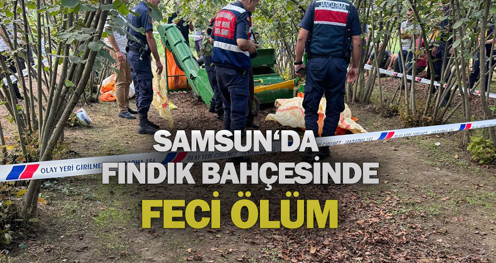 Samsun’da Fındık Bahçesinde Feci Ölüm!