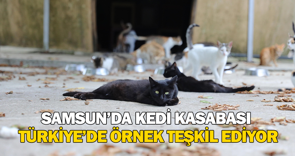 Samsun Büyükşehir Belediyesi tarafından