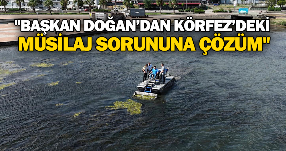 Başkan Doğan’dan Körfez’deki Müsilaj Sorununa Çözüm